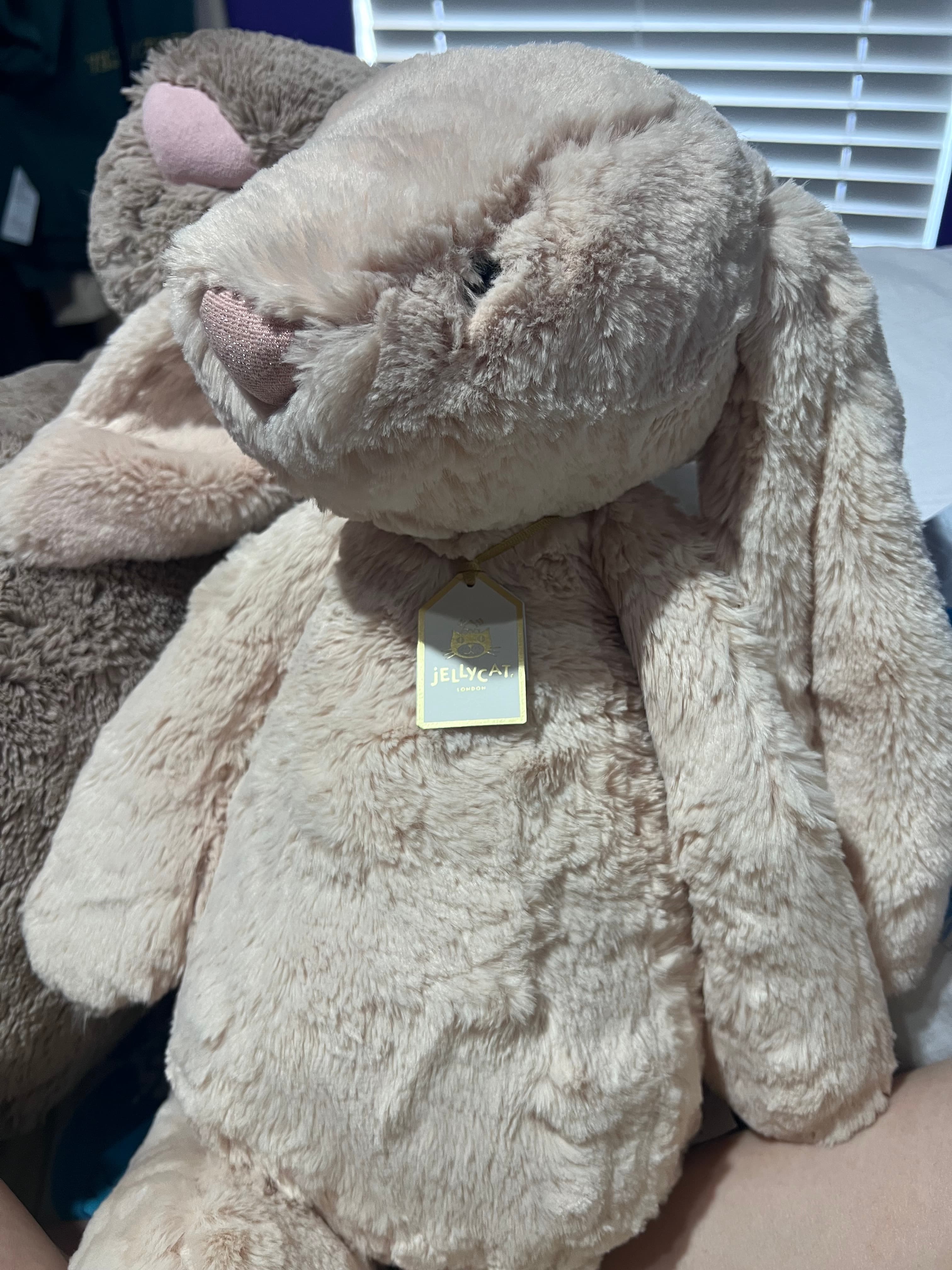 Jellycat Bunny cute